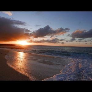 Meet your Posher, Desiree